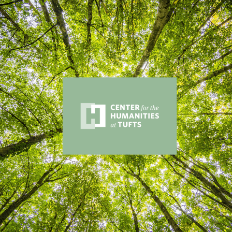 canopy of trees while looking straight up in the sky with CHAT logo in the middle
