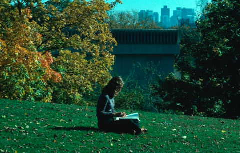 woman sitting on grass reading a book, with trees and cityscape in the background
