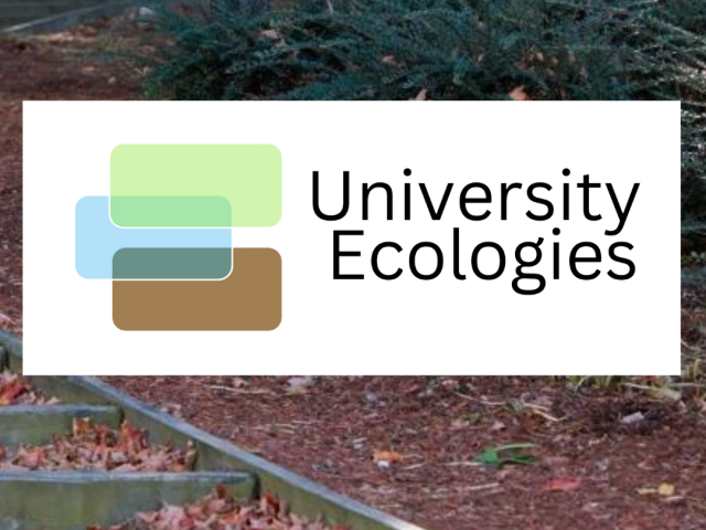 outdoor stairs and university ecologies logo overlaid on it