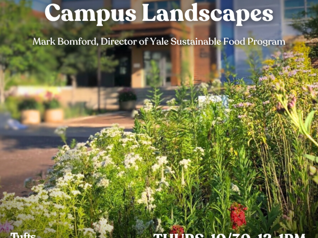 outdoor scene with wildflowes in foreground, academic building in the background and text in white